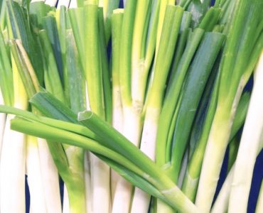 長ネギ